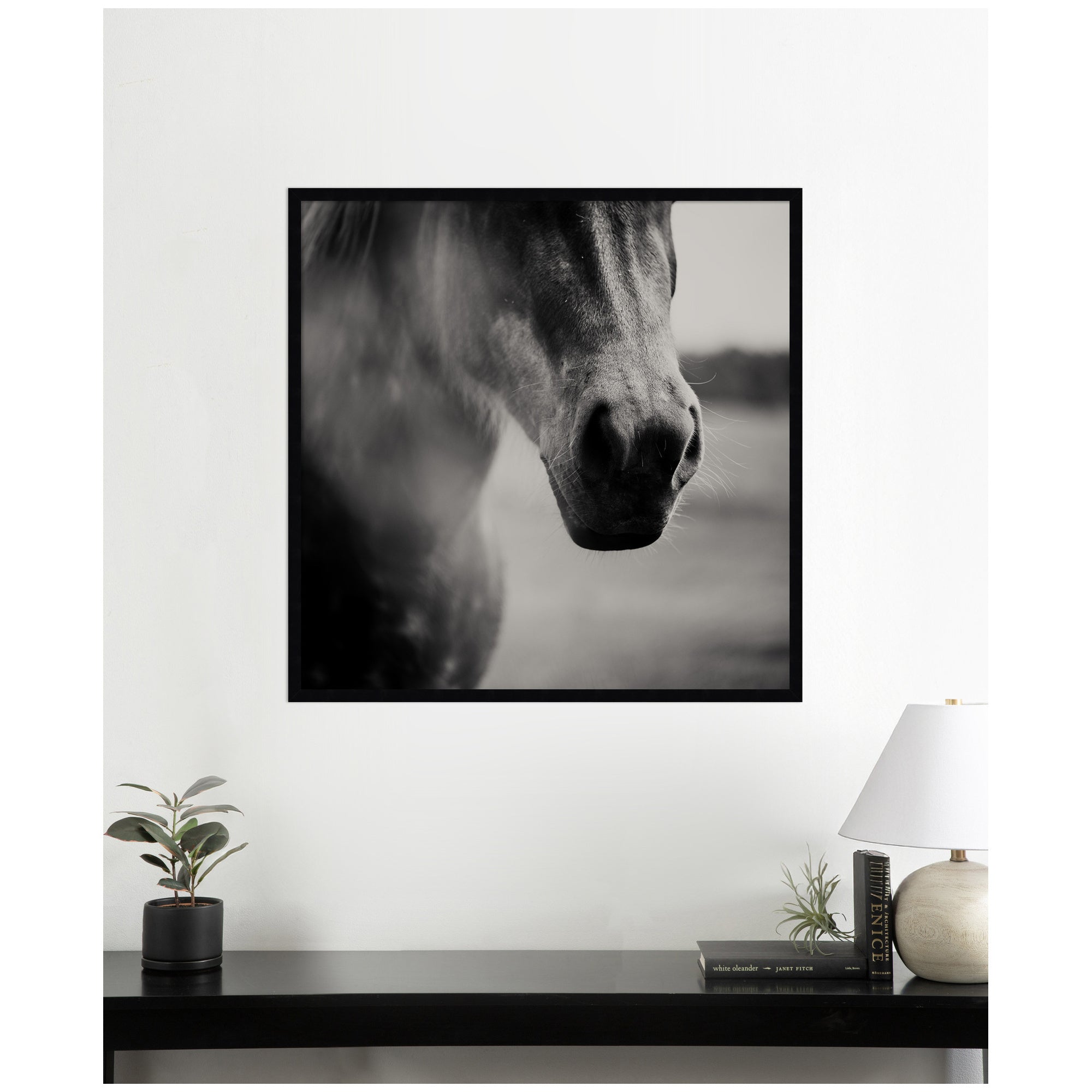 Horse Like Velvet by Laura Evans Framed Wall Art Print