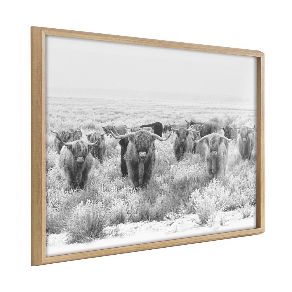 Black and white framed printed art featuring a herd of Highland cows