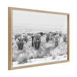 Black and white framed printed art featuring a herd of Highland cows