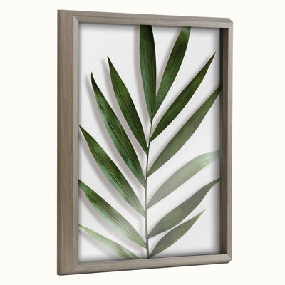 Blake Botanical 5F Framed Printed Glass by Amy Peterson