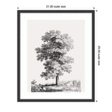 Black and white detailed study of a large tree with dense foliage on a small hill, framed with a dark border and white matting.