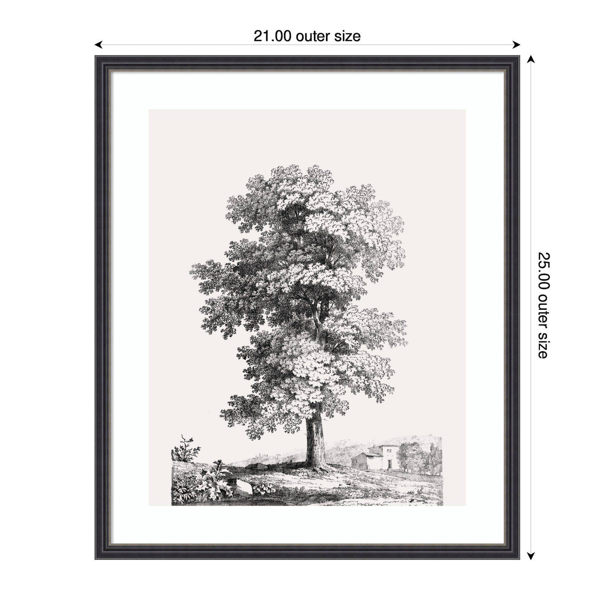 Framed Art Jean Victor Bertin Study of a Tree 1816