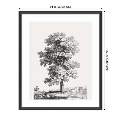 Framed Art Jean Victor Bertin Study of a Tree 1816