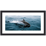 Framed art panel showing a dolphin breaching the ocean surface with a splash, featuring blue water and the dolphin's sleek gray body.