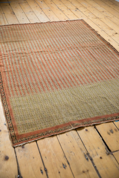 4x6 Antique Fine Senneh Rug by Old New House® - product image 3 for Resin Society