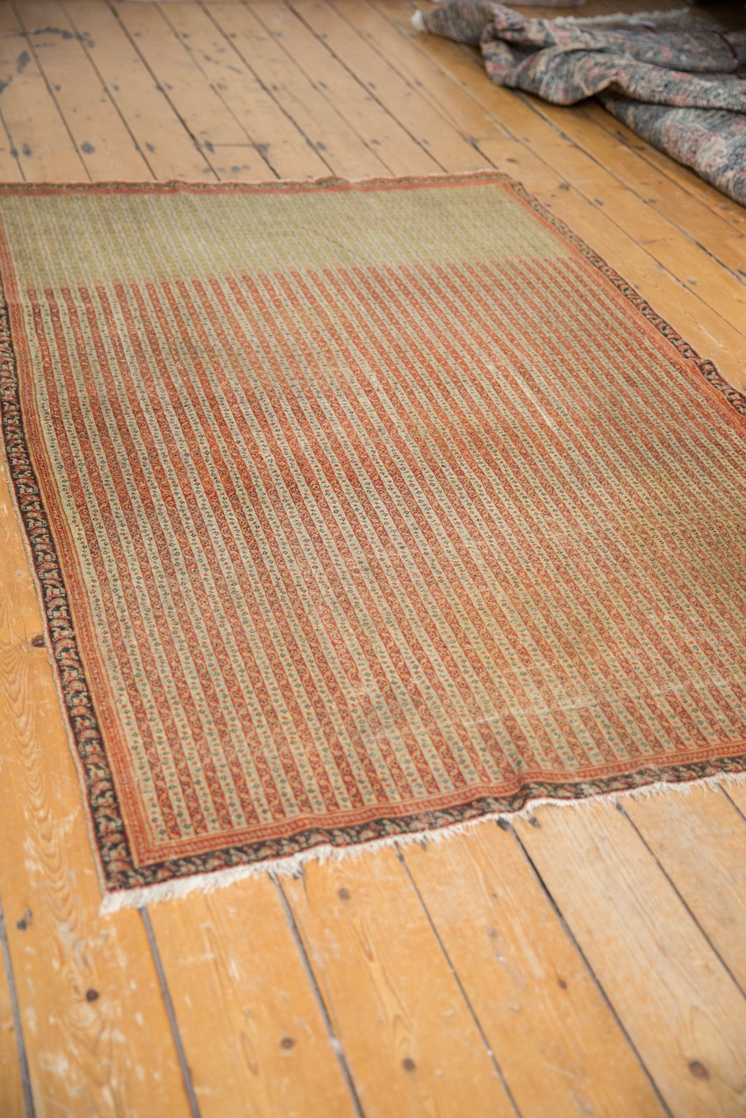 4x6 Antique Fine Senneh Rug by Old New House® - product image 8 for Resin Society