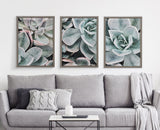 Blake Botanical Succulent Plants 1 Framed Printed Glass by The Creative by kateandlaurel - product image 6 for Resin Society