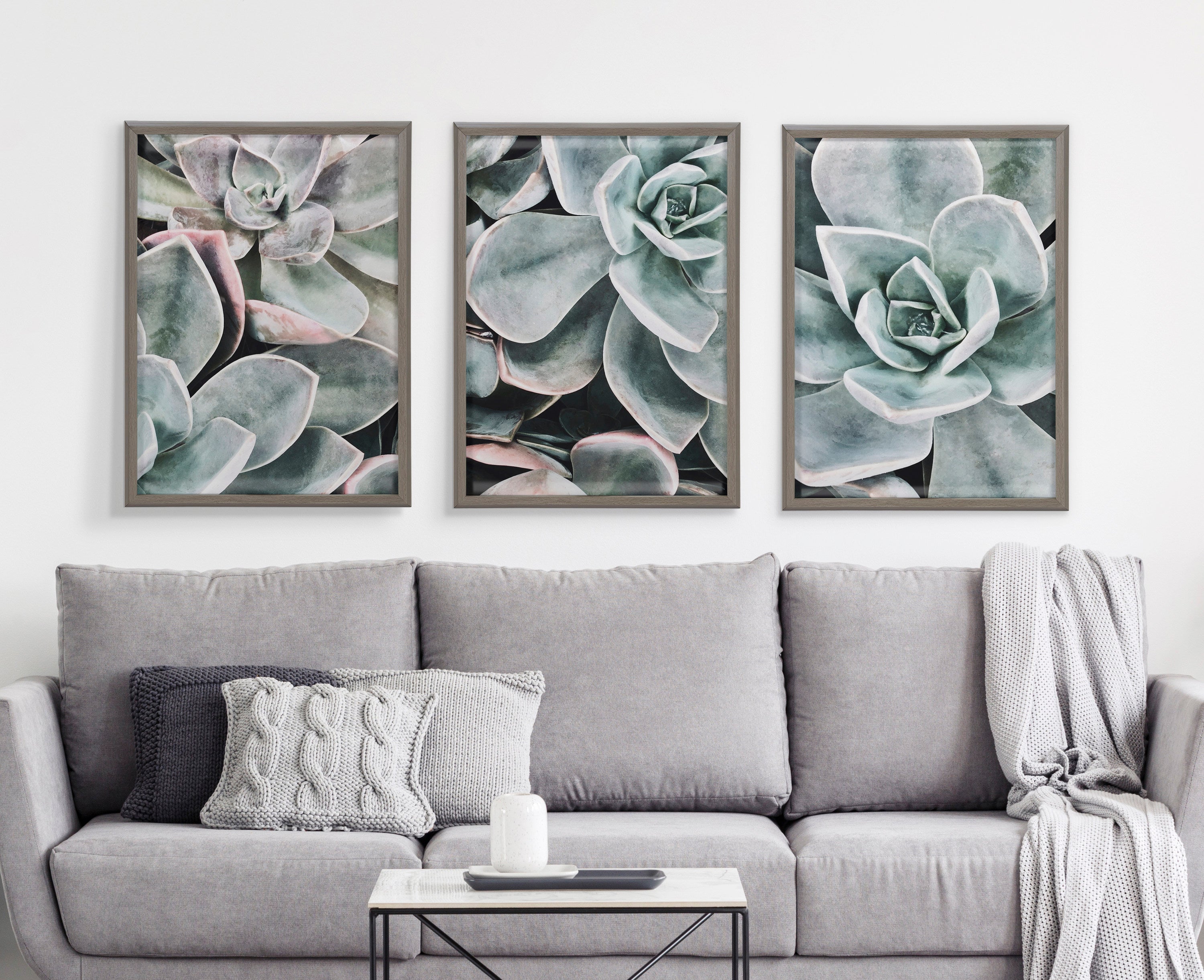 Blake Botanical Succulent Plants 1 Framed Printed Glass by The Creative by kateandlaurel - product image 6 for Resin Society