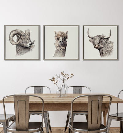 Sylvie Ram Framed Canvas by Ron Dunn