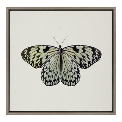 Sylvie Two Tone Butterfly Framed Canvas by kateandlaurel - product image 2 for Resin Society