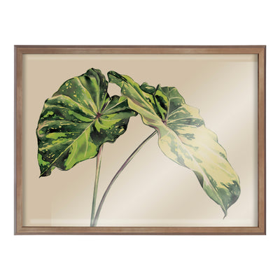 Blake Spotted Leaves Neutral Framed Printed Glass by kateandlaurel - product image 13 for Resin Society