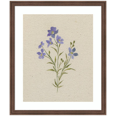 Framed wall art print titled AQ Simple Bloom No 2 featuring floral imagery in Florence Medium Brown frame