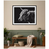 Black and white framed wall art of a Highland cow with long shaggy hair and curved horns, hung above a wooden bench with cushions and a throw in a warmly lit room.