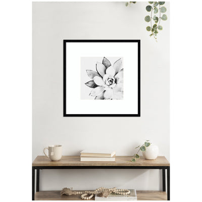 Modern Succulent by Tai Prints Framed Wall Art Print