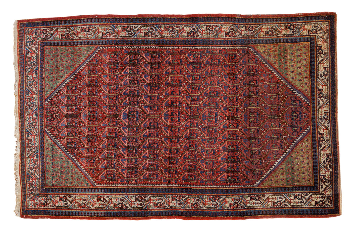 4.5x7 Vintage Arak Sarouk Rug by Old New House® - main product image for Resin Society