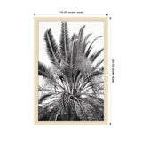 Black and white framed print of a palm tree with long, arching fronds, measuring 18 by 26 inches outer size