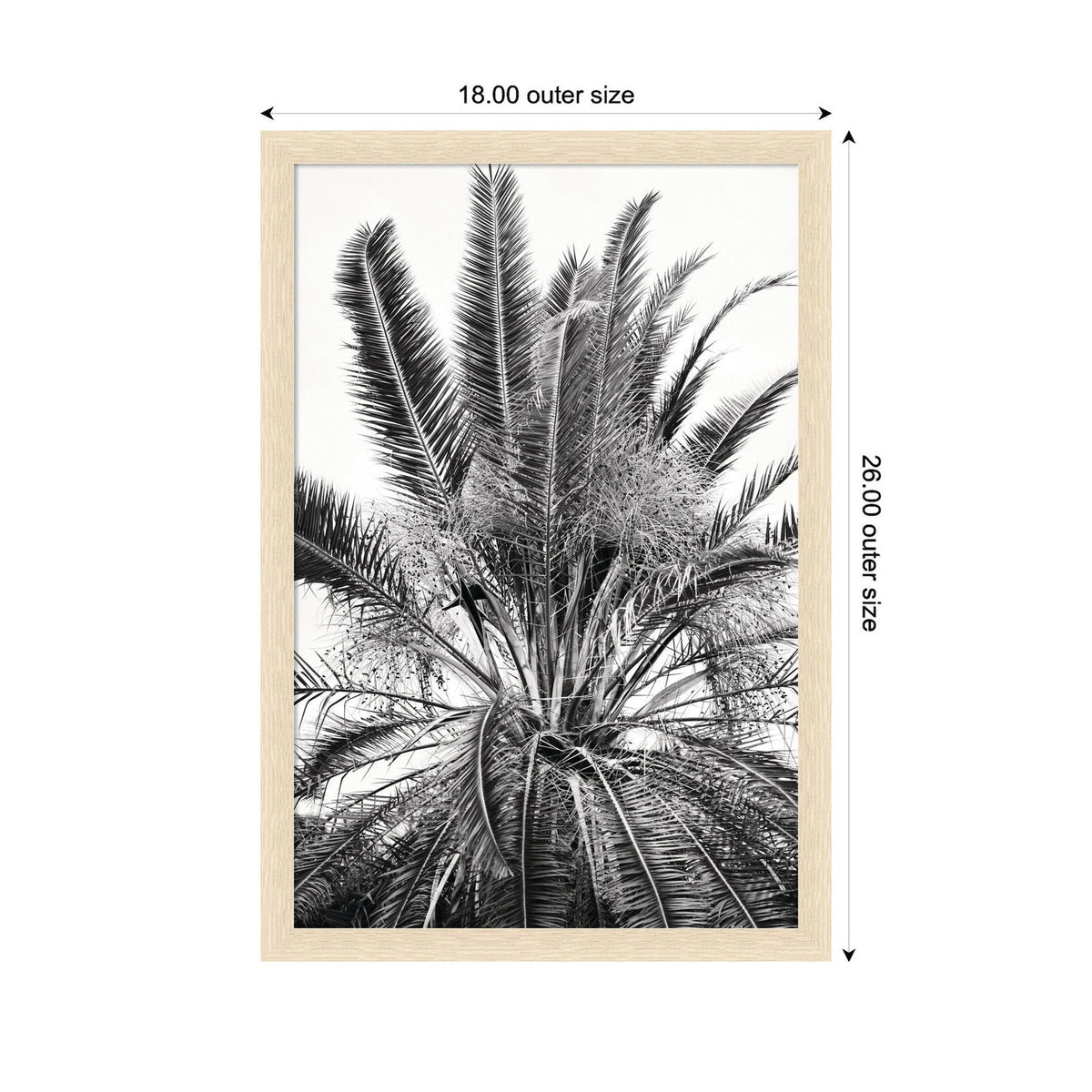 Black and white framed print of a palm tree with long, arching fronds, measuring 18 by 26 inches outer size