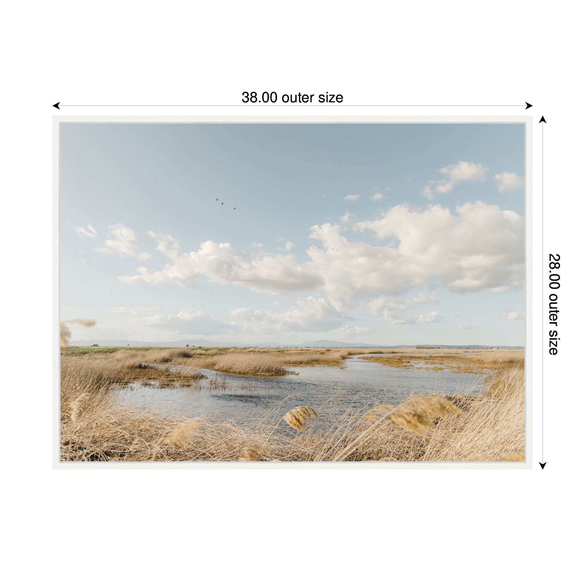 Sylvie Marshland Framed Canvas by Crystal Lynn Collins