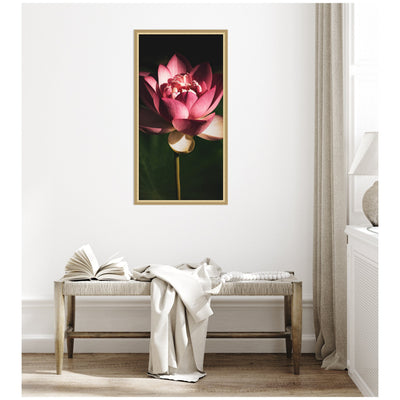 Midnight Lotus Flower by Stephanie Klatt Framed Wall Art Print