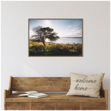 Framed coastal sunset landscape canvas featuring a silhouetted tree with sparse branches against golden light and a calm blue sea, hanging above a rustic wooden bench with a beige 'welcome home' pillow.