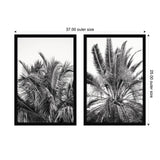 Two black-framed black-and-white prints showing close-up views of palm fronds with detailed leaf textures, one with upward arching leaves and the other with a fan-like palm arrangement.