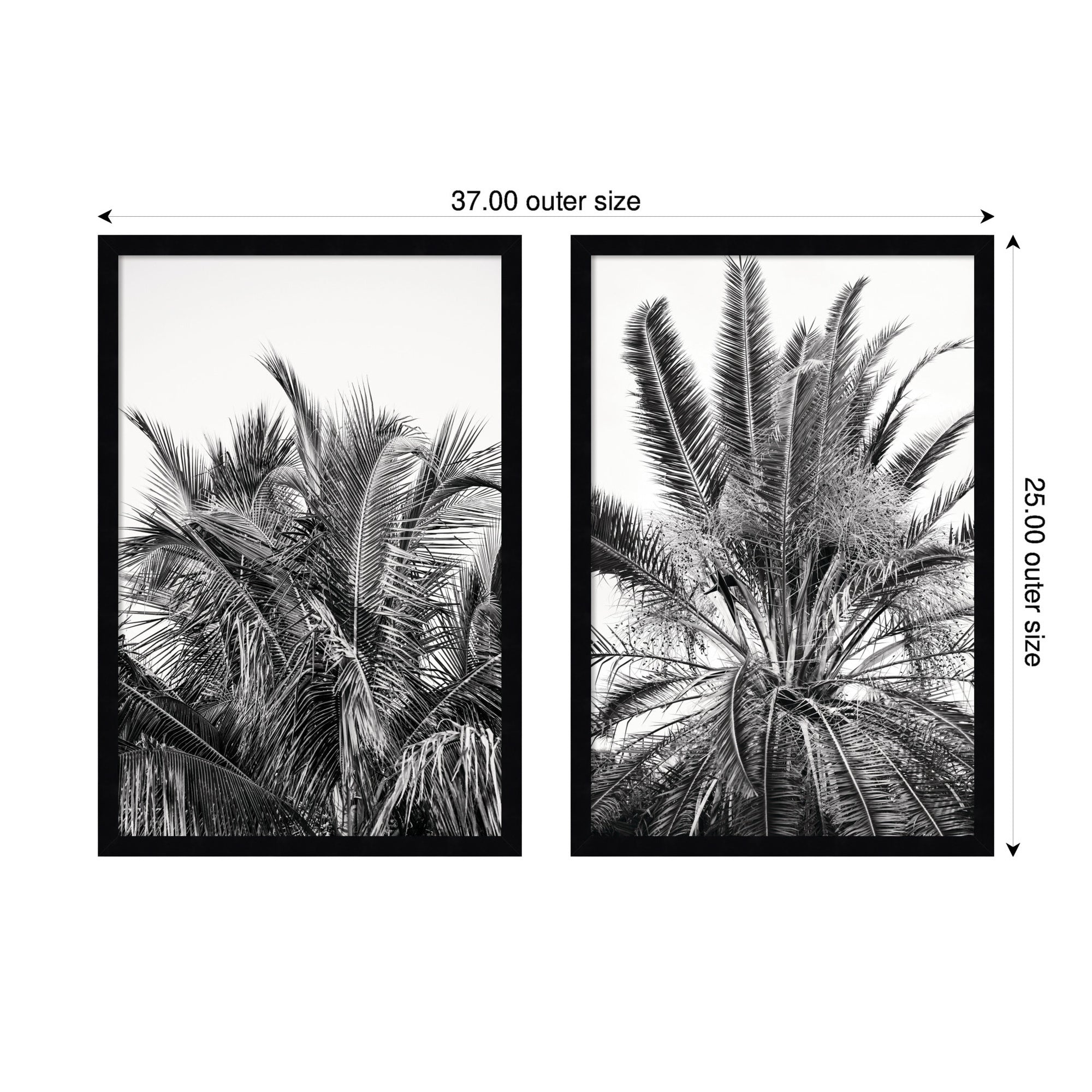 Palm No.
13 & 15 2 Piece Framed Wall Art Print Set by Alicia Bock
