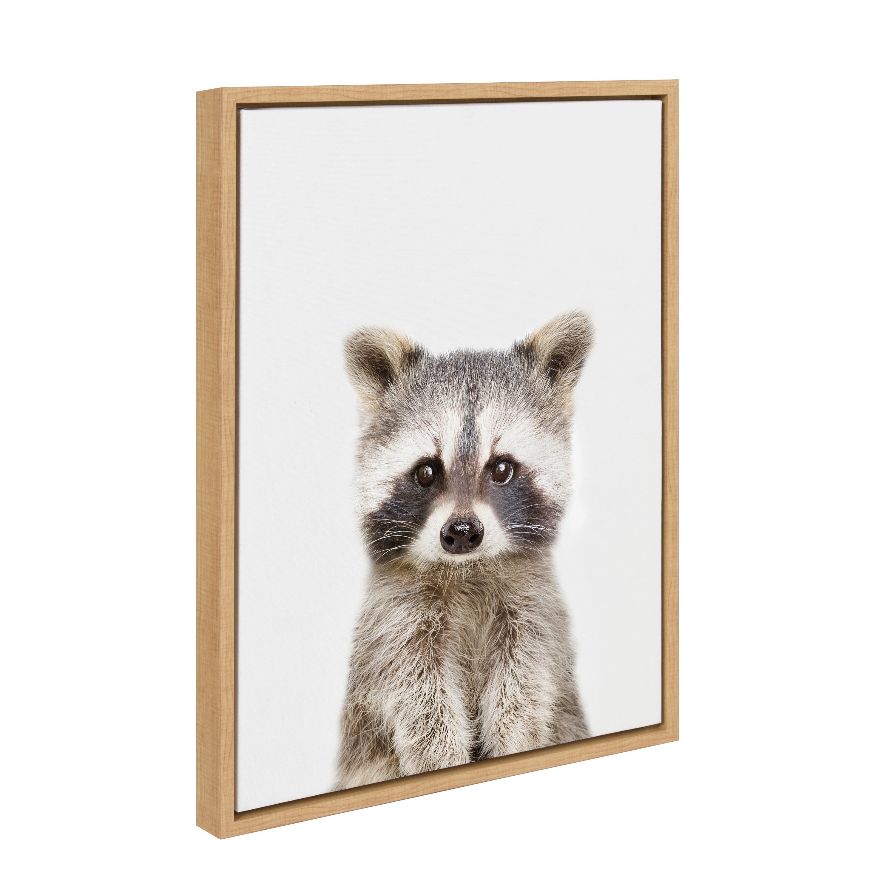 Sylvie Raccoon Framed Canvas by Amy Peterson Art Studio