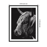 Black and white close-up of a Highland cow's head with long shaggy hair and prominent curved horns against a dark background, presented in a framed print.