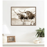 Sepia-toned framed photo of two Texas Longhorn cattle with large curved horns standing in a grassy pasture, hung on a white wall above a table with a lamp and plant.