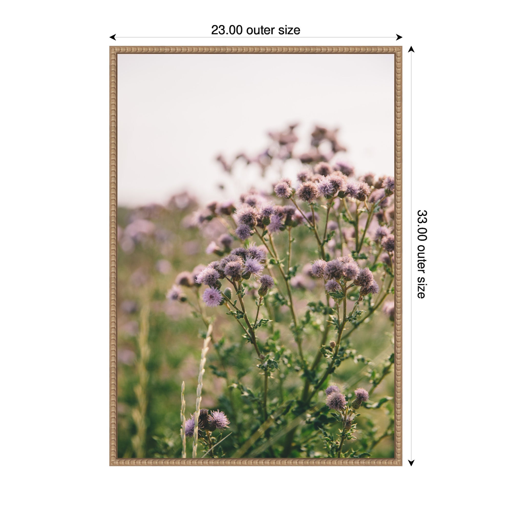 Sylvie Soft Purple Flower Blooms Framed Canvas by Patricia Hasz