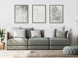 Sylvie Edgar Degas Horse Turned Three Quarters 1880 BW Framed Canvas by by kateandlaurel - product image 16 for Resin Society