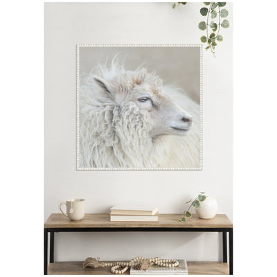 Harry Crop by Emiko and Mark Franzen F2 Images Framed Canvas Wall Art Print
