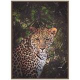 Framed canvas print of a leopard with amber eyes in a dark green rainforest setting, surrounded by shadows and foliage patterns.