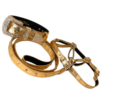 Glam Gold Embossed Studded Italian Leather Collar by Allysa Payne Beverly Hills - product image 3 for Resin Society