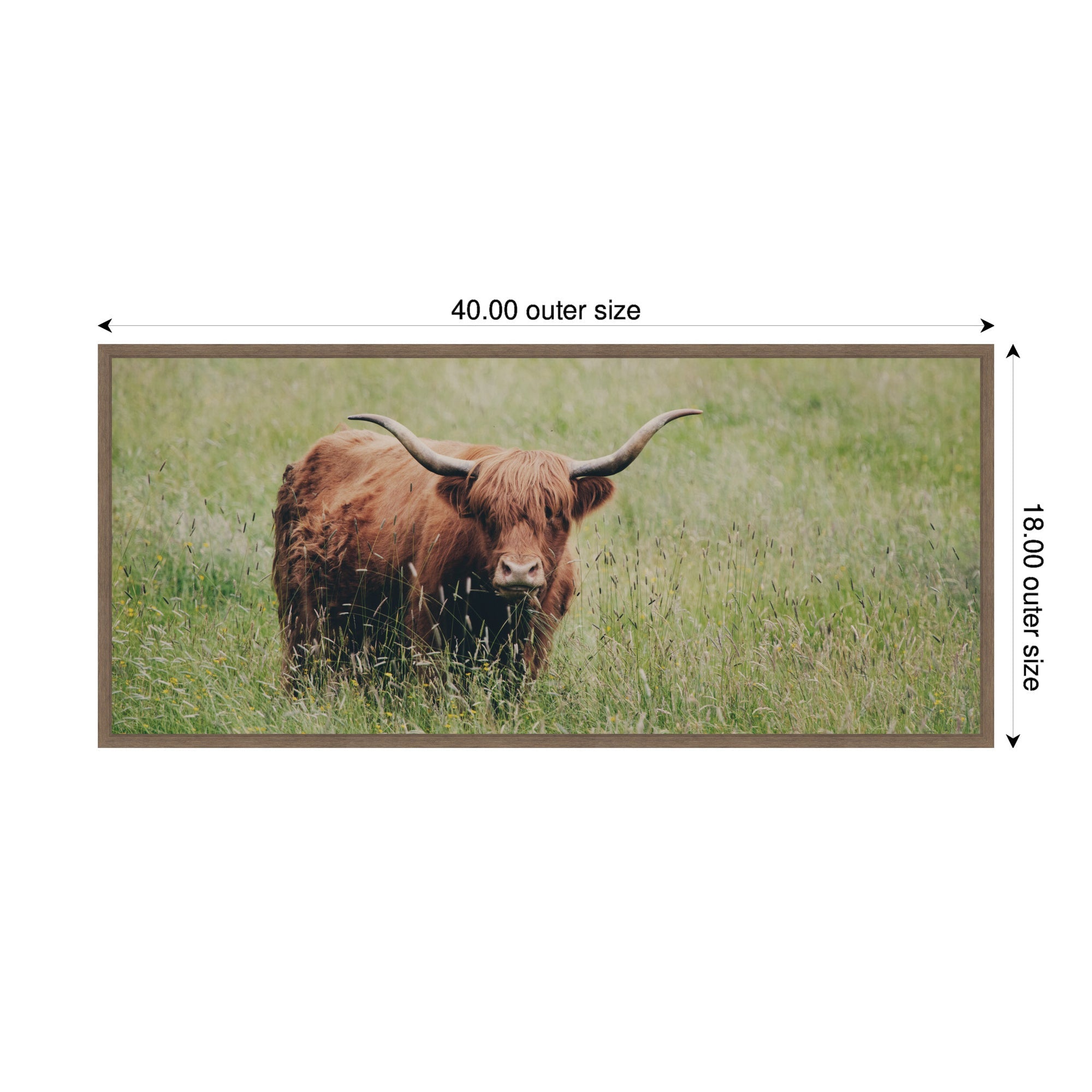 Highland Cow No.
1 by Laura Evans Framed Canvas Wall Art Print