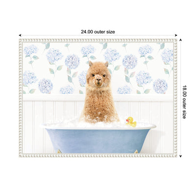 Sylvie Baby Alpaca in Hydrangea Bubble Bathtub Framed Canvas by Amy Peterson