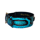 Black dog collar with electric turquoise snake pattern and gold metal hardware, displayed in a rounded position on white background.