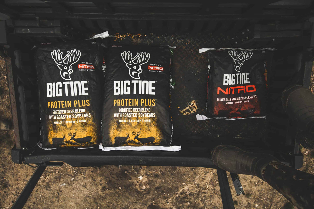 Three bags of Big Tine deer feed, two labeled Protein Plus with black and yellow designs, and one labeled Nitro with black and red details, placed on a vehicle tailgate.