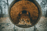 Close-up view through a round, rusted metal feeder containing a mix of small seeds and grains, set outdoors among leafless trees and dry ground.
