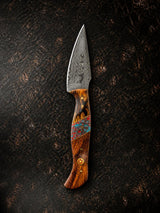 Titan "Painted Mesa" Damascus Hunting Knife | Cocobolo Rosewood & Turquoise Mosaic Handle | Hand-Tooled Leather Sheath