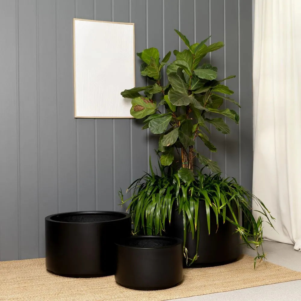 Shoob Cylindrical Planter - The Balcony Garden US