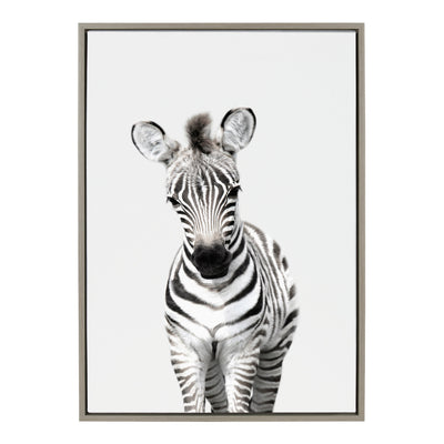 Sylvie Baby Zebra Framed Canvas by Amy Peterson