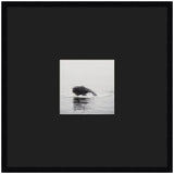 Framed wall art print of a humpback whale by Laura Evans in a black frame