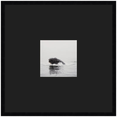 Framed wall art print of a humpback whale by Laura Evans in a black frame