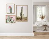 Sylvie Sunrise Cactus, Pink Cactus Flower and Cactus 25 Framed Canvas by kateandlaurel - product image 5 for Resin Society
