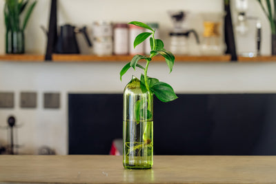 Kilua Vase by Mbare Ltd - product image 5 for Resin Society