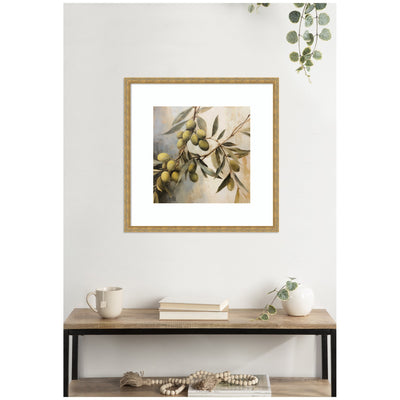 Olive Tree by The Creative Bunch Studio Framed Wall Art Print