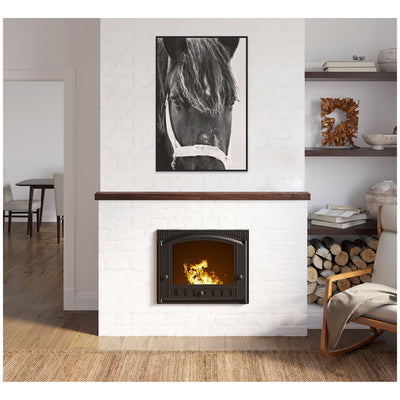 Black Horse by Emiko and Mark Franzen F2 Images Framed Canvas Wall Art Print
