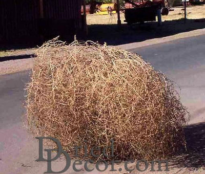Large Country Tumbleweed by DriedDecor - product image 4 for Resin Society