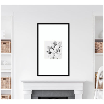 Modern Succulent by Tai Prints Framed Wall Art Print